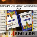 Kamagra Oral Jalea 100Mg Cómo Usar 12